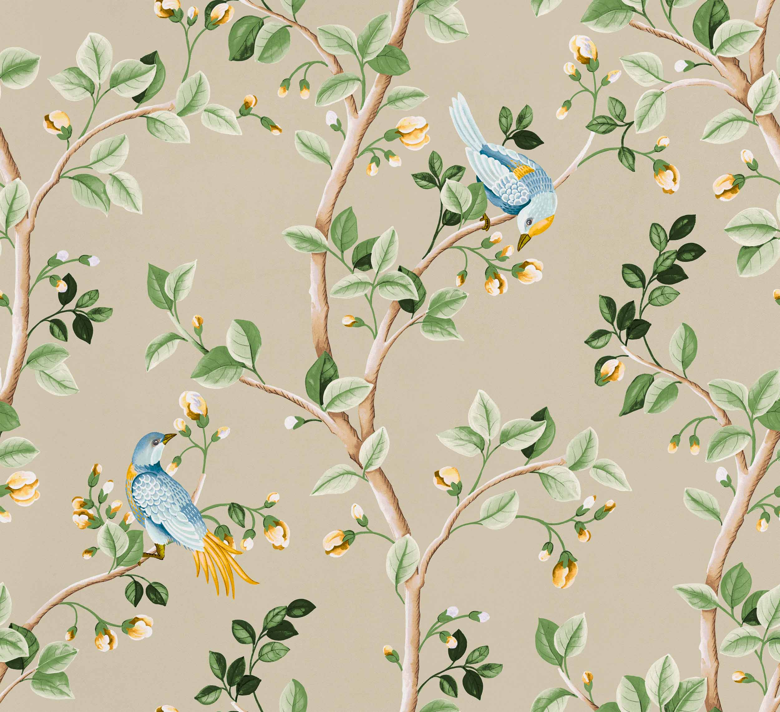 Birds Prosperity, Papyrus, Coordonne 5mp / rola